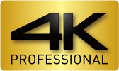 4K Professional Gold Logo